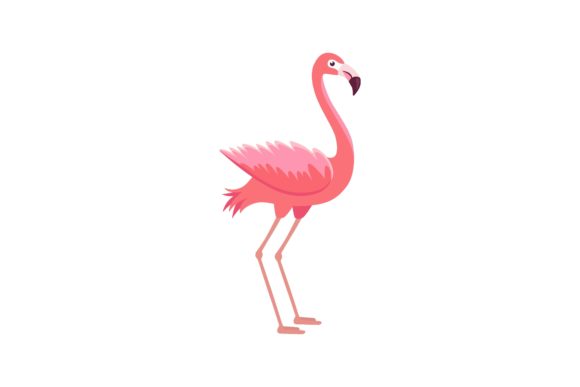 Download Flamingo Illustration. Beautiful Pink Bi - Flamingo illustration Collection
